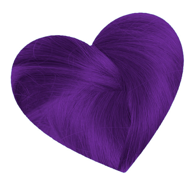 Love Color Purple Rose
