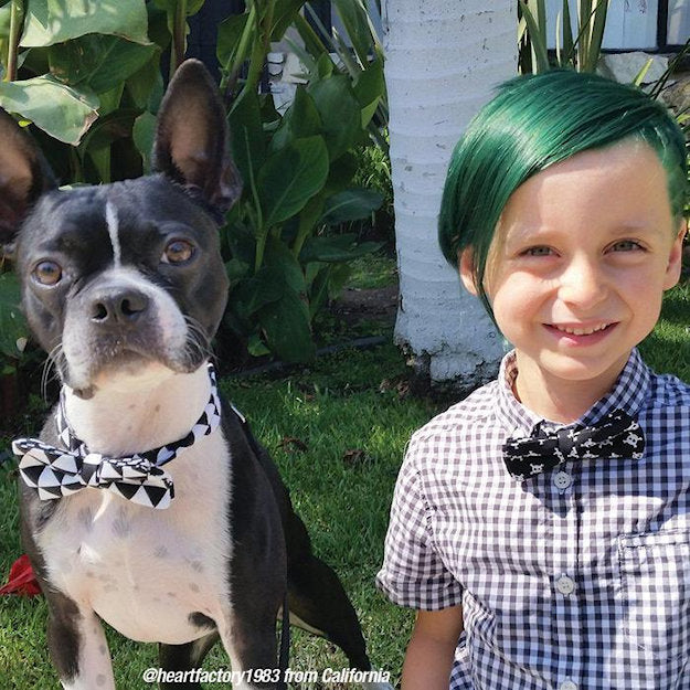 Manic Panic Classic Green Envy dye hair colour