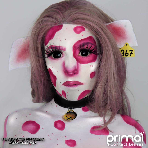 Primal Mini Sclera Black contact lenses 15.2mm worn