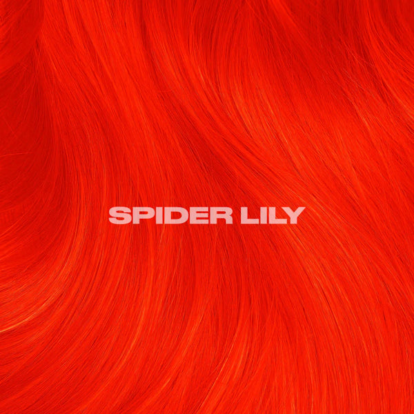 Spider Lily 236ml