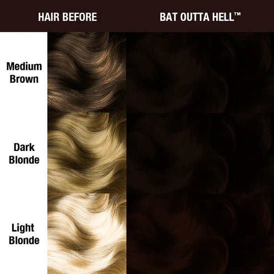 Classic Bat Outta Hell