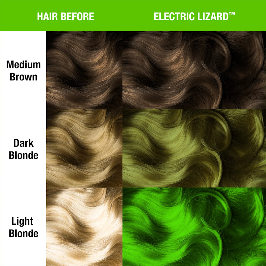 Classic Electric Lizard