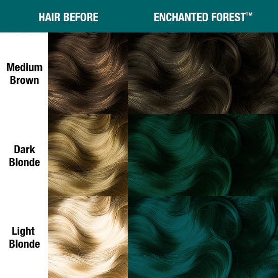 Classic Enchanted Forest