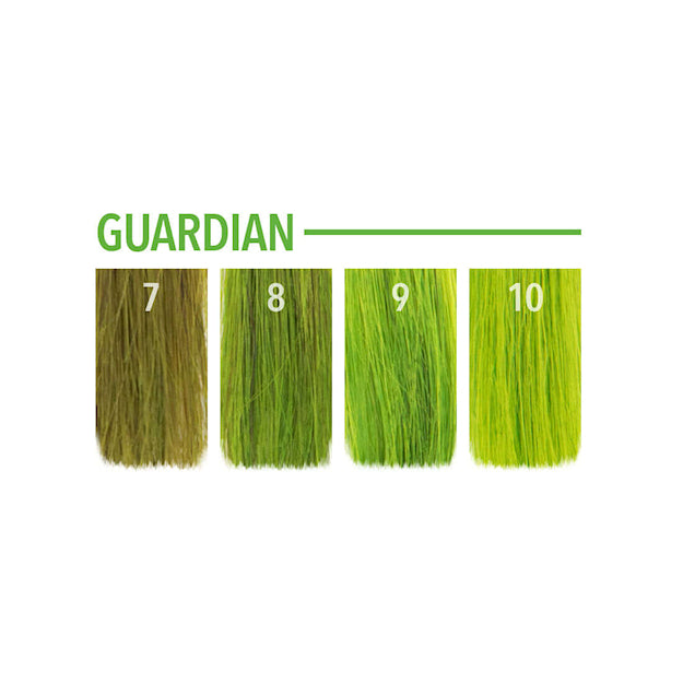 Pulp Riot Fantasy Guardian dye hair colour swatch