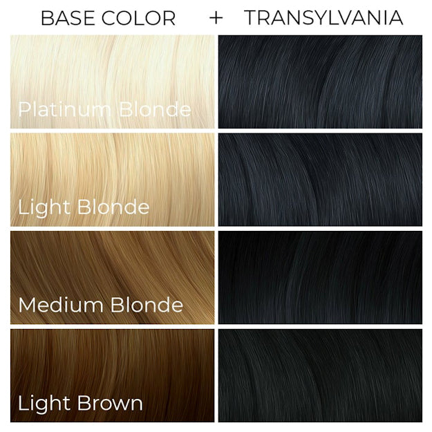 Arctic Fox Transylvania dye hair colour Swatch Guide