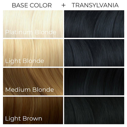 Arctic Fox Transylvania dye hair colour Swatch Guide